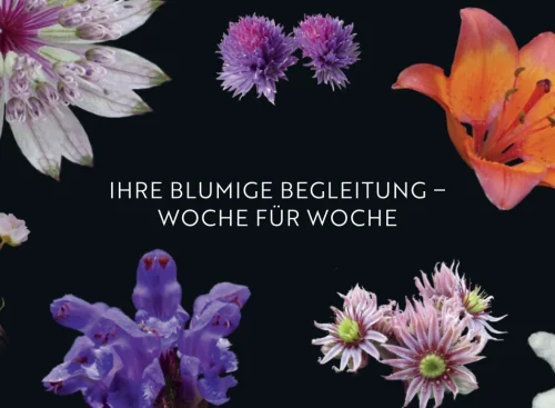 CAW-Web-Arbeitswelten_Blumenkalender