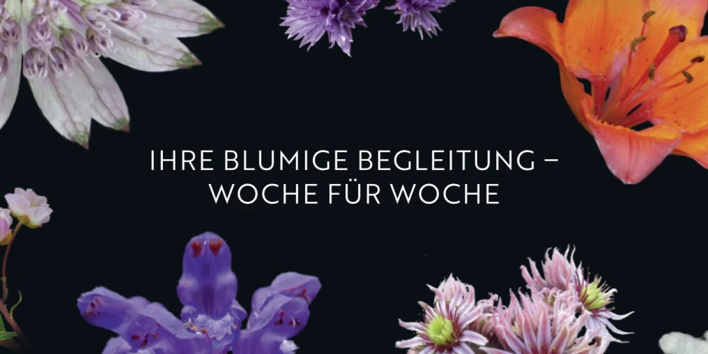 CAW-Web-Arbeitswelten_Blumenkalender